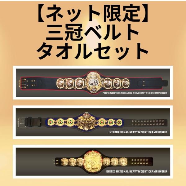 【ネット限定】三冠ベルトタオルセット