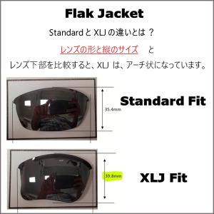 オークリー フラックジャケット 交換 レンズ ...の詳細画像5