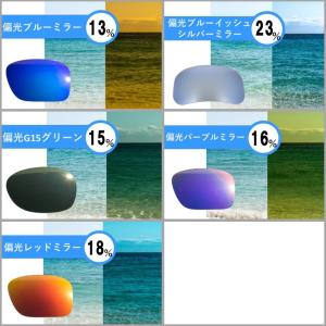 オークリー ガスカン USフィット 交換 レン...の詳細画像5