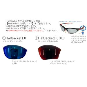 オークリー ハーフジャケット 1.0 交換 レ...の詳細画像5