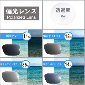 オークリー ストレートジャケット 交換レンズ ...の詳細画像3