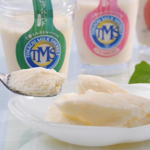 北海道 十勝ミルクシャーベット 濃厚ミルク/いちご/小豆/メロン 10個 アイス 送料無料 ギフト ...