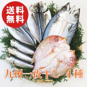 九州一夜干し 4種セット（れんこ鯛、真サバ、真あじ、真いわし） 干物 品