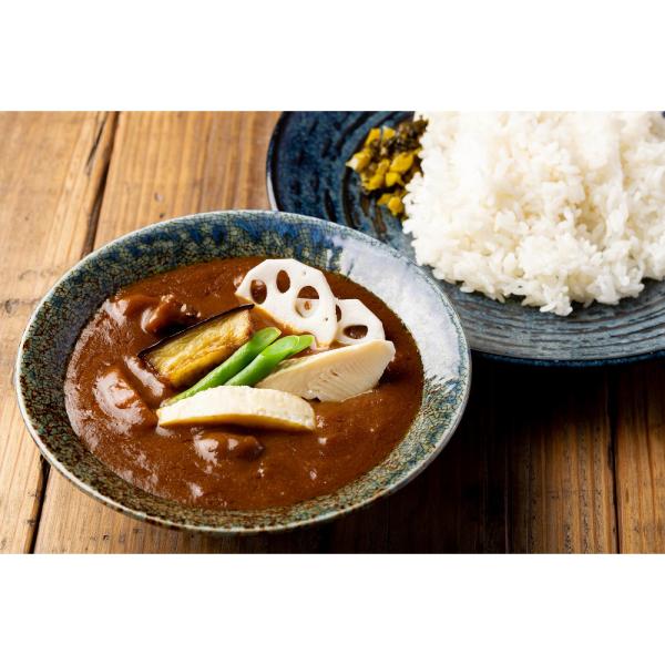 関西銘店カレー 6食セット【送料無料 プレゼント 誕生日 お祝い 内祝い】【母の日 父の日 お中元】