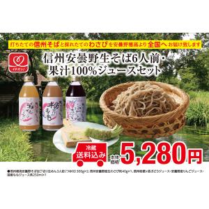 お中元　プレゼント　信州そば　生めん　打ちたて　信州安曇野生そば6人前・果汁100％ジュースセット