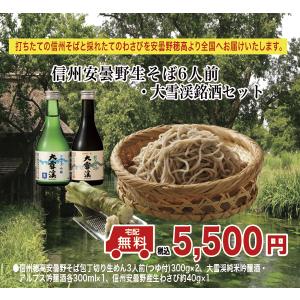 父の日　プレゼント　信州そば　生めん　打ちたて　信...