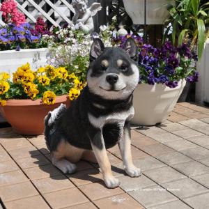 犬 置物 柴犬 セット ガーデン おしゃれ 玄関 動物 オブジェ