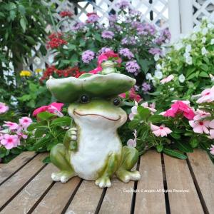 送料無料】【ガーデニング雑貨】カエル 玄関 庭【Wはすかえる