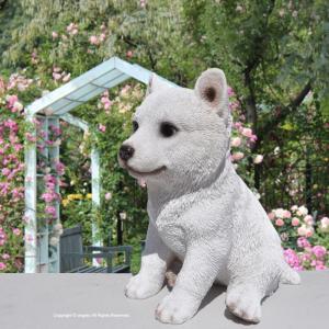 シバ犬　柴犬　可愛い　ガーデン　オブジェ　置物 楽天市場】犬の置物 ガーデニング ガーデンオーナメント 置物 オブジェ
