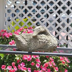 ガーデニング 雑貨 置物 ヨーロッパ 英国製 ハンターB 猫 ガーデン雑貨