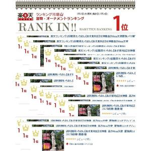 ガーデニング 雑貨 アンティーク ガーデンオブ...の詳細画像3