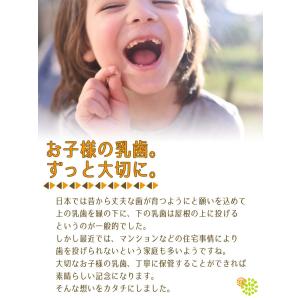 名入れ 乳歯ケース 人気 出産祝い 子供 誕生...の詳細画像3
