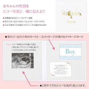 ジェンダーリビール エコー写真 カード 性別発...の詳細画像1