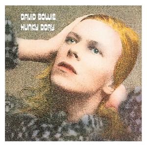 ハンキー・ドリー デビッド・ボウイ 中古CD レンタル落ち 8e-1113
