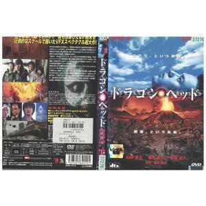 DVD ドラゴン・ヘッド 妻夫木聡 山田孝之 レンタル落ち ZK00904