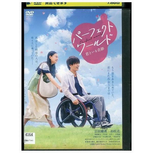 DVD パーフェクトワールド 岩田剛典 レンタル落ち ZK01088