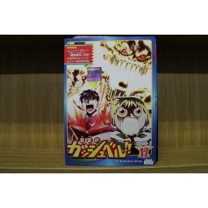 DVD 金色のガッシュベル Level2 全17巻 ※ケース無し発送 レンタル落ち ZKK778a