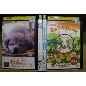 レジデント 5人の研修医/全5巻セット 中古DVD レンタル落ち/仲里依紗