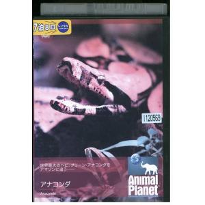 DVD アニマル・プラネット アナコンダ レンタル落ち ZP03904