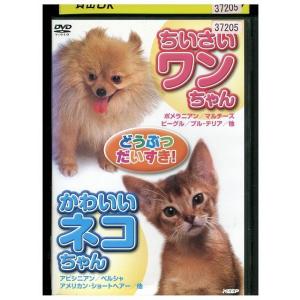 DVD どうぶつだいすき！ ちいさいワンちゃん&かわいいネコちゃん レンタル落ち ZR01567