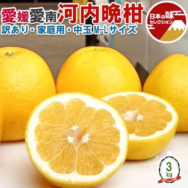 訳あり 愛媛 河内晩柑 3kg 中玉 M〜Lサイズ混合(バラ詰め) 宇和ゴールド 同品種 8月以降見...