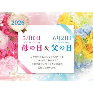 母の日 ギフト プレゼント 京都 養老軒 冷や...の詳細画像1
