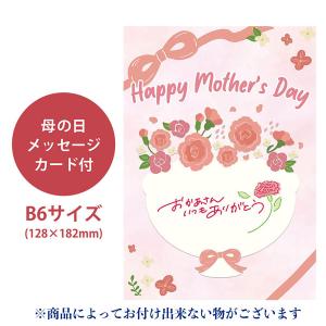 母の日 ギフト プレゼント 京都 養老軒 冷や...の詳細画像3