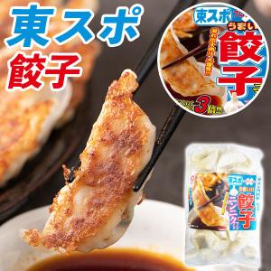 TVで紹介 東スポ餃子 1パック 1.1kg 22g 50個 青森県産 ニンニクマシマシ 餃子 宇都宮の餃子｜ギフト広場