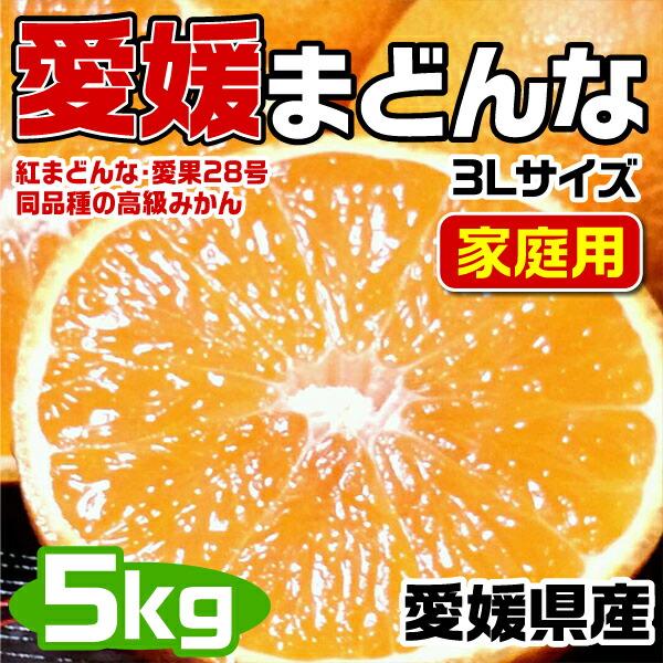 愛媛まどんな アイカ (紅まどんな同品種) 3Lサイズ 大玉 5kg JAの正規品(あいか/ 愛果2...