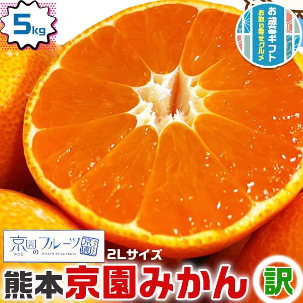 みかん 5kg箱(4.5kg） 訳あり 特濃完熟 京園みかん 2Lサイズ 熊本県産 みかん  お試し...
