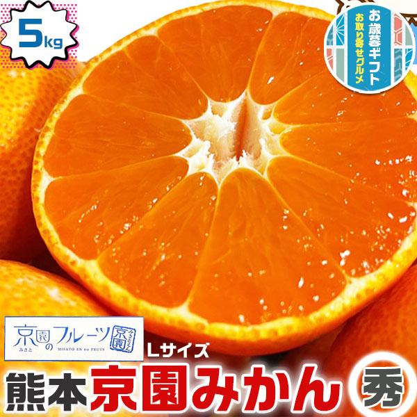 みかん 5kg箱 秀品 特濃完熟 京園みかん Lサイズ 熊本県産 みかん  お試し 柑橘 秀品フルー...