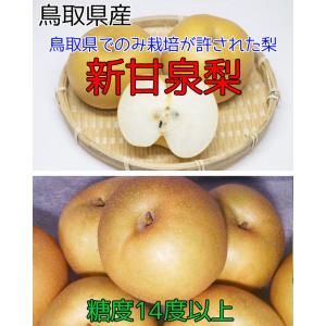 鳥取 新甘泉 梨 秀品 5kg 6玉〜10玉入...の詳細画像1