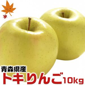 青森県産 トキ りんご 10kg 訳あり・ご家庭用 サイズ大小混合｜希少品種 遅れてごめんね 敬老の日・家庭用・ギフト・フルーツ 果物 アップル 送料無料　MHR