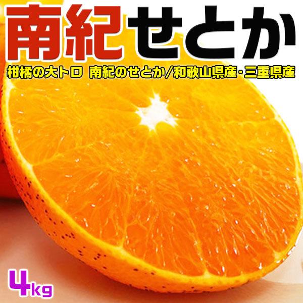 せとか 南紀のせとか 訳あり みかん 4kg 3Lサイズ 家庭用 和歌山県 三重県 3月上旬 スター...