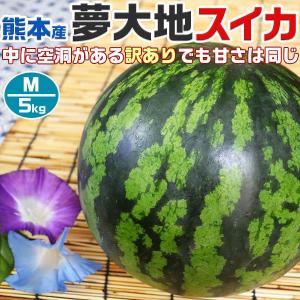 熊本産 夢大地 すいか 訳あり Mサイズ 5kg 1玉 スイカ 母の日 父の日 プレゼント フルーツ...