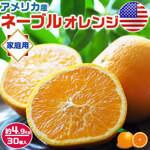 ネーブルオレンジ (アメリカ産) 約 4.9kg 30個入り 家庭用(小傷有り) 箱買い 1箱 柑橘...