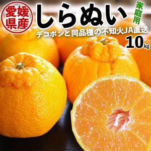 不知火 しらぬい 10kg 家庭用 デコポン と同じ品種 愛媛県産 JAえひめ南より直送 送料無料