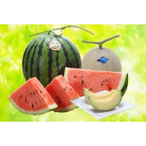 スイカ マスクメロン フルーツ詰め合わせ プレミアム 熊本県産 1箱
