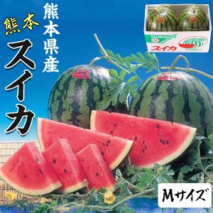 すいか スイカ 熊本県産 1箱 5kg×2玉 高...の商品画像
