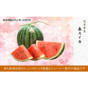 すいか スイカ 熊本県産 1箱 5kg×2玉 ...の詳細画像5