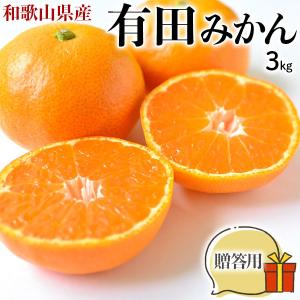 糖度に自信あり完熟 有田みかん 3kg 等級：秀 和歌山県 有田市産 小玉も混合有田ミカン 出荷日お任せ 指定日不可