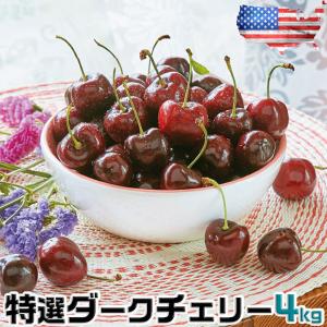 さくらんぼ オービル農園 アメリカン チェリー 4kg GEE WHIZ 超大粒