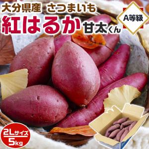 さつまいも 紅はるか 甘太くん A等級 2Lサイズ 約5kg (12〜14本前後入)  大分県産 貯...