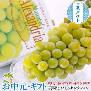 お中元 ぶどう 超大房 マスカット オブ アレキサンドリア 岡山県産 特秀品 1房 約750g 化粧箱 ※冷蔵 船穂ぶどう部会 お取り寄せ 御中元 201z14810