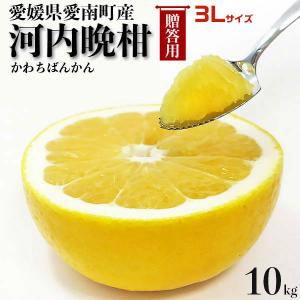 愛媛 河内晩柑 10kg 訳あり規格外品 M〜3Lサイズ混合(バラ詰め) 宇和