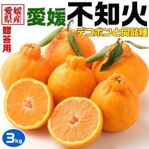 不知火 みかん しらぬい 秀品 3kg 1箱 愛...の商品画像