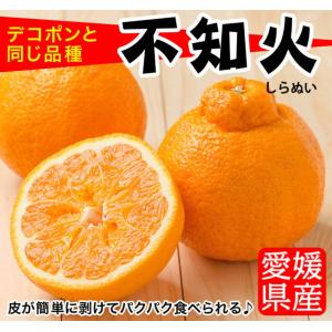 不知火 みかん しらぬい 秀品 3kg 1箱 ...の詳細画像1