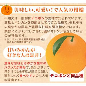 不知火 みかん しらぬい 秀品 3kg 1箱 ...の詳細画像2