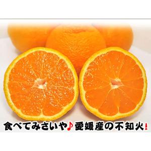 不知火 みかん しらぬい 秀品 3kg 1箱 ...の詳細画像5