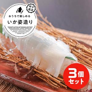 TVで紹介 呼子のイカ 呼子 剣先いか姿造り(...の詳細画像4